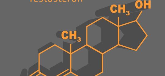 Wzór chemiczny testosteronu.