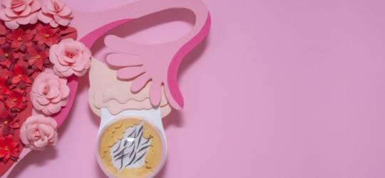 Model macicy z widoczną torbielą na jajniku.