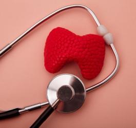 Plastikowy model tarczycy i stetoskop lekarski na różowym tle.