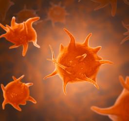 Model 3D trombocytów, czyli płytek krwi.