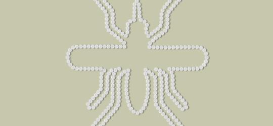 Ugryzienia komarów - jak pozbyć się swędzenia?