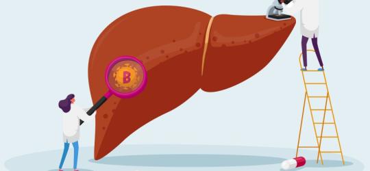 Rysunkowi lekarze diagnozują wątrobę w kierunku WZW typu B.