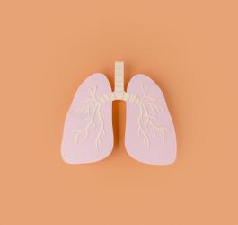 Papierowy model ludzkich płuc na pomarańczowym tle.