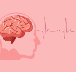 Rysunkowy przekrój ludzkiej głowy z widocznym mózgiem, w tle linia izoelektryczna.