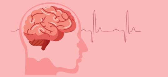 Rysunkowy przekrój ludzkiej głowy z widocznym mózgiem, w tle linia izoelektryczna.