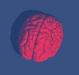 Model ludzkiego mózgu zabarwiony na czerwono, symbolizujący zapalenie opon mózgowo-rdzeniowych.