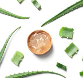 Na białym tle liście aloesu i żel aloesowy w drewnianej miseczce.