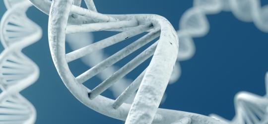 Łańcuch DNA.