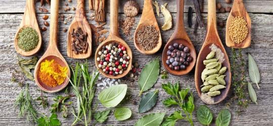 Świeże i suszone zioła oraz przyprawy zaprezentowane na drewnianych łyżeczkach.