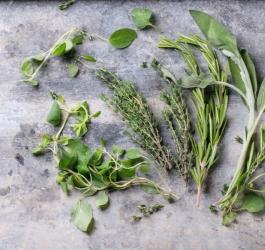 Świeże zioła leżą na betonowym blacie.