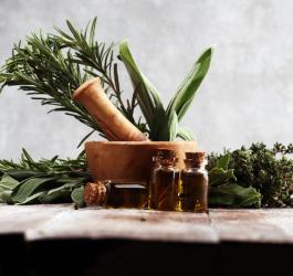 Świeże zioła oraz wytłoczone z nich olejki na szarym tle.