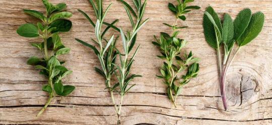 Zioła na nadciśnienie