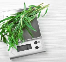 zioła na odchudzanie