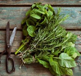 zioła na odporność