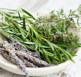 Świeże zioła leżące w ceramicznej, białej miseczce.