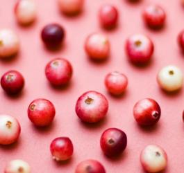 Owoce żurawiny wielkoowocowej.