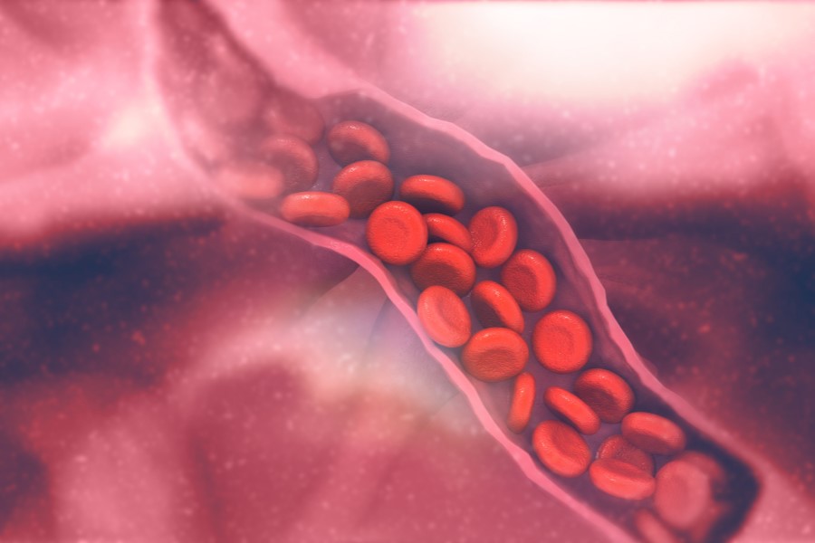 Krew przepływająca przez żyłę.