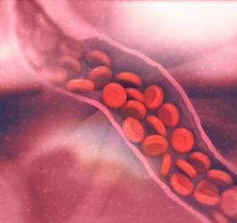 Krew przepływająca przez żyłę.